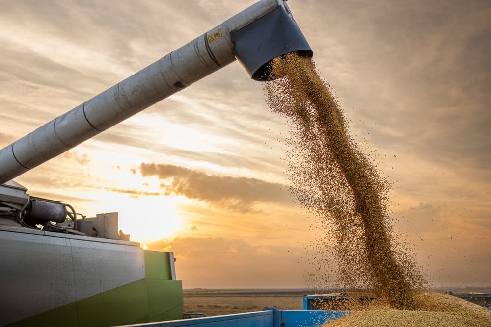 Año histórico: Se confirma una superzafra en Paraguay