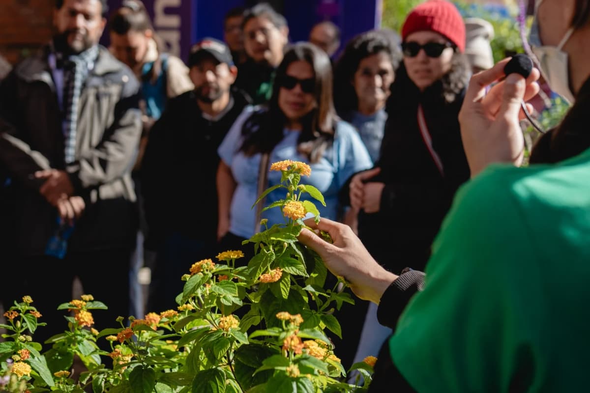 MuCi presenta actividades de ciencia y naturaleza en septiembre