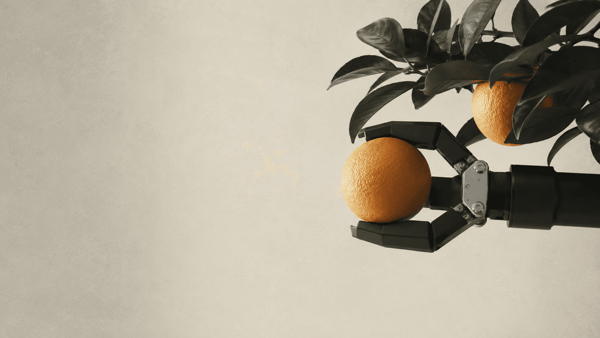 Europa acaba de apostar millones a un robot que recoge naranjas