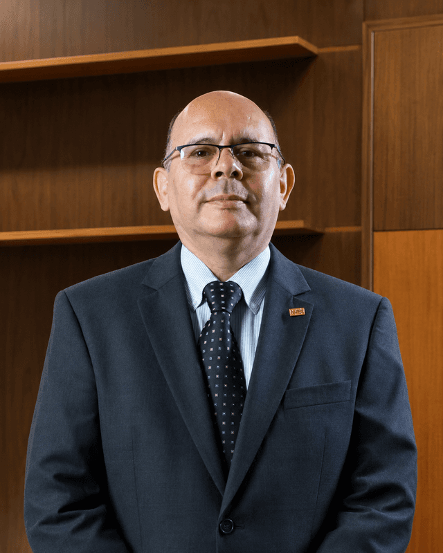 Prof. Dr. Dipl. Ing. Pedro Galván